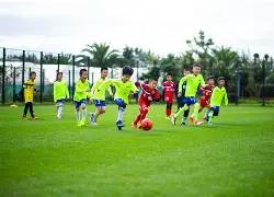 佩斯克状态,复苏,能否力挽狂,亚博体彩官网,Yabo亚博体彩官网,亚博体彩官网在线娱乐平台